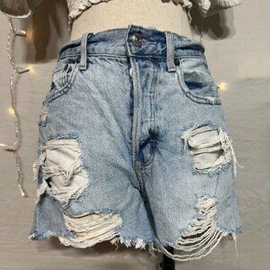 Women’s Size 2 American Eagle 90’s Boyfriend High Rise Shorts